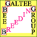 Galtee Bee Breeding Group Logo