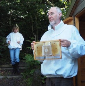 queen rearing cage
