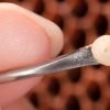 grafting queen rearing larve