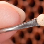 grafting queen rearing larve