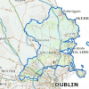 Tolerance to <i>Varroa destructor</i> in Ireland