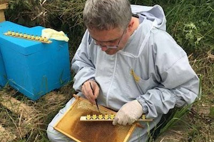 Bee Improvement Strategies – Kevin Thorn