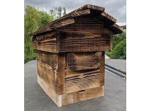 BIBBA Monthly - June 2020