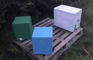 BIBBA Monthly - May 2020