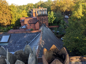 A bees-eye view of the world. Bees in the chimney