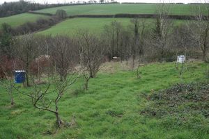 Hives which are spaced out to improve IPM