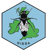 BIBBA Monthly – March 2021