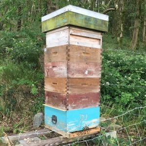 hive-stack